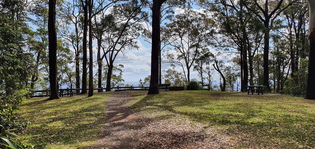 Rainforest Waterfall Walk
