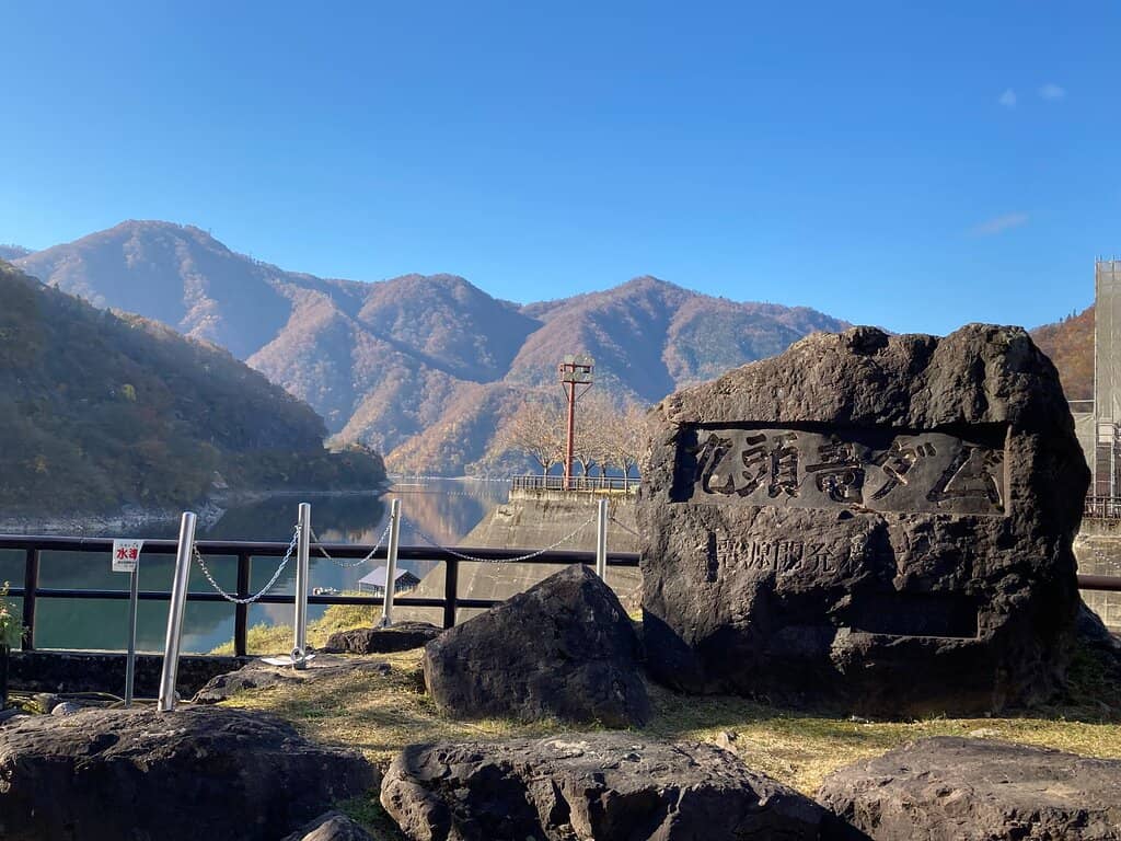 Fresh Greenery Reflections
