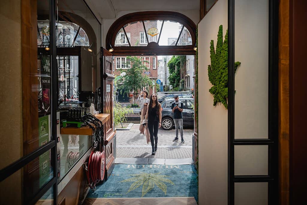 Live Cannabis Garden