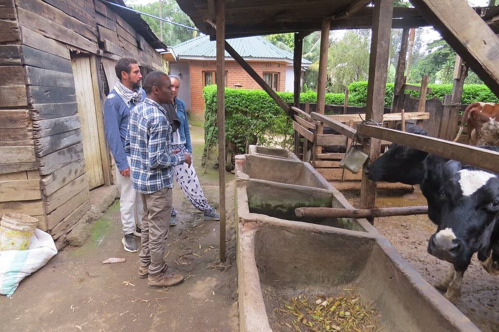 Village Walking Tour