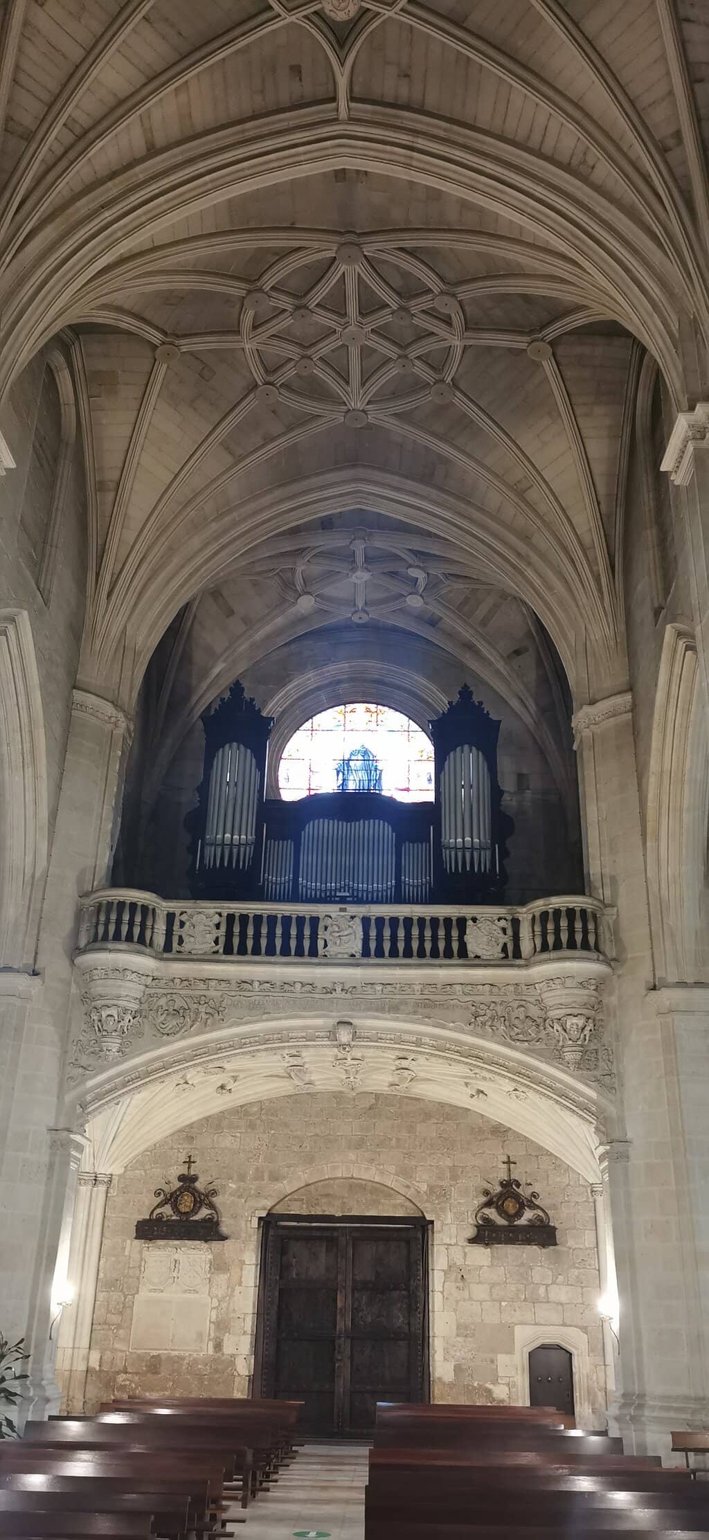 Vertical photo
