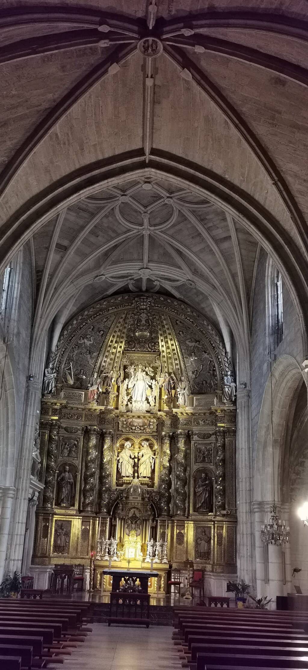 Vertical photo