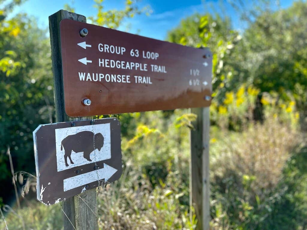 Restored Tallgrass Prairie
