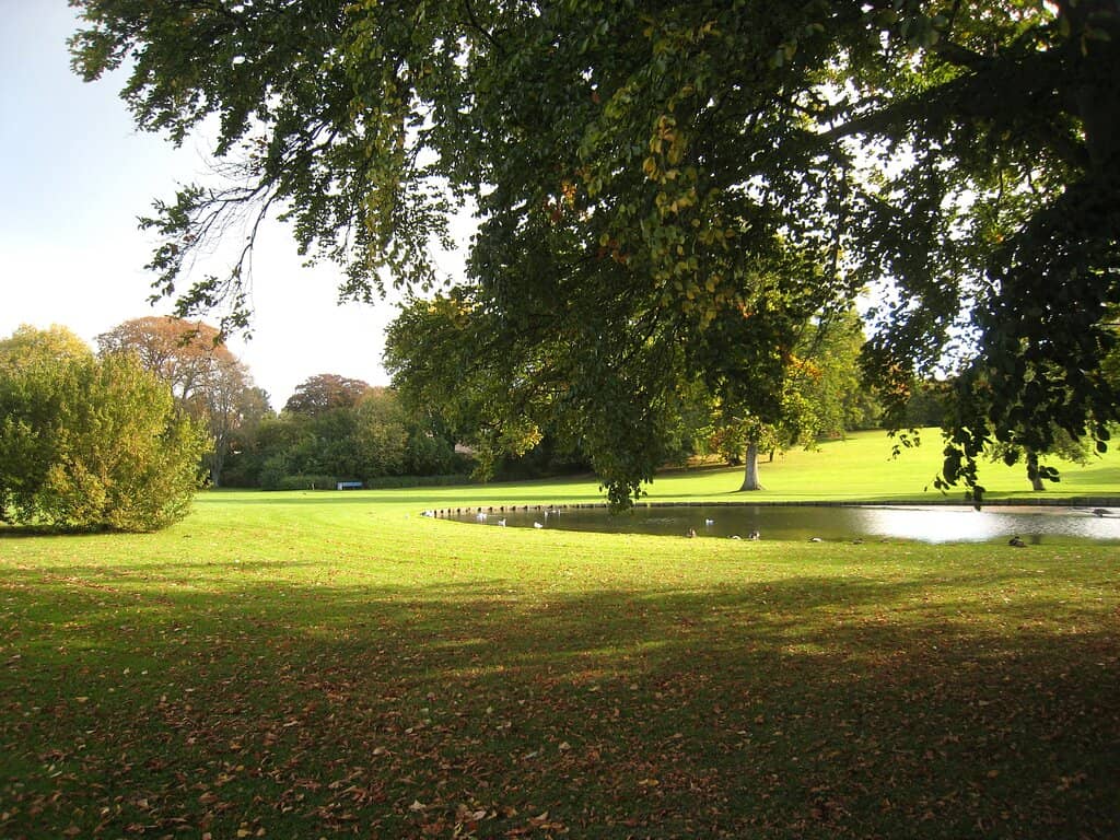 Bergen's Lakeside Serenity