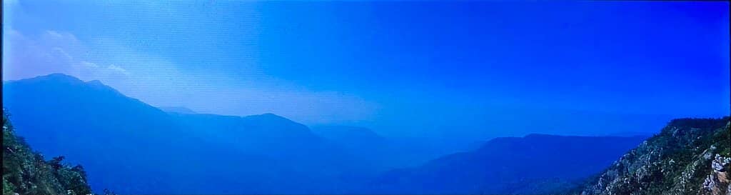 Local Photography Services