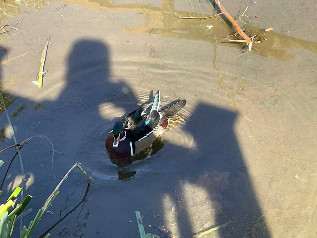 Splash River Exhibit