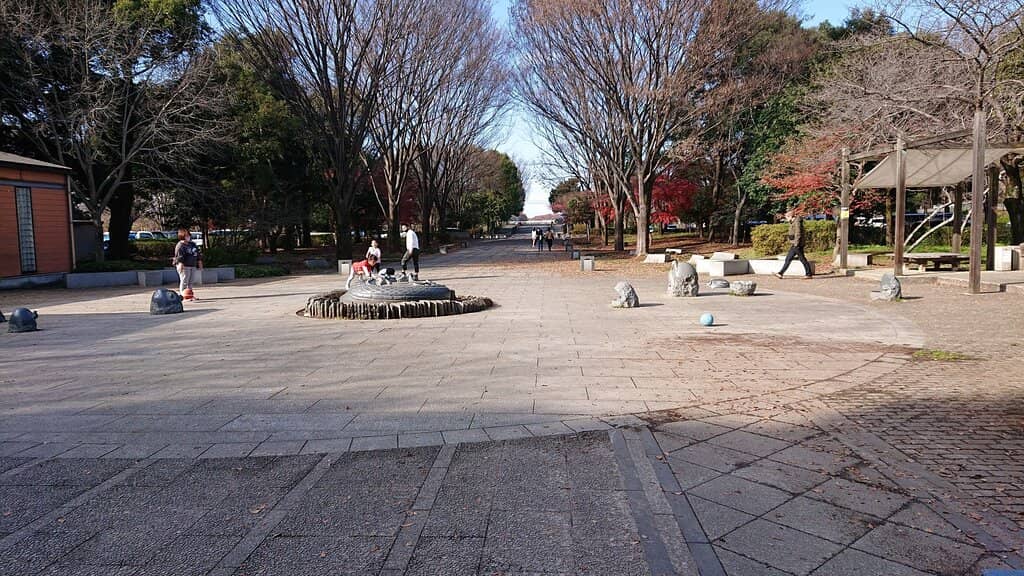 Abundant Wildlife Sightings