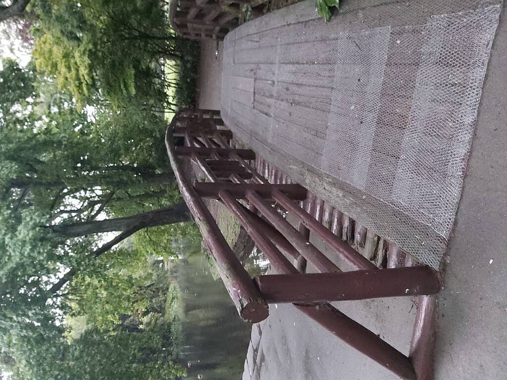 Duck Pond & Wildlife