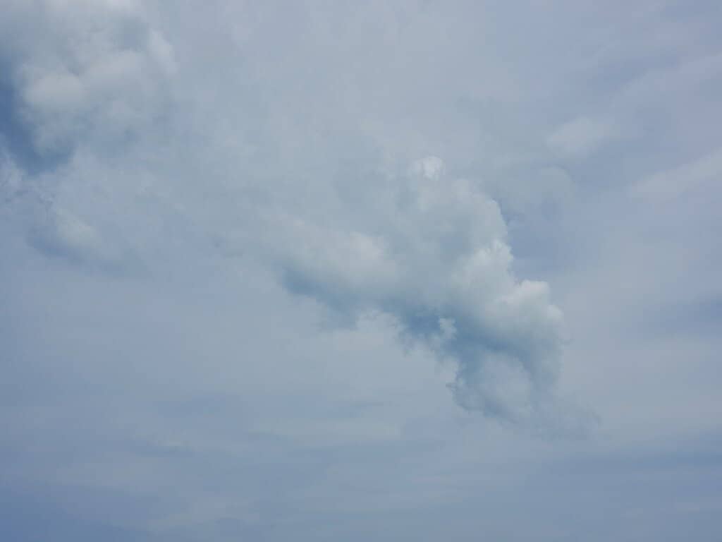 Sea Turtle Sightings