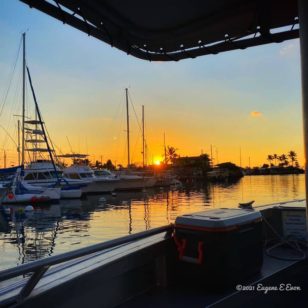 Manta Ray Night Dives