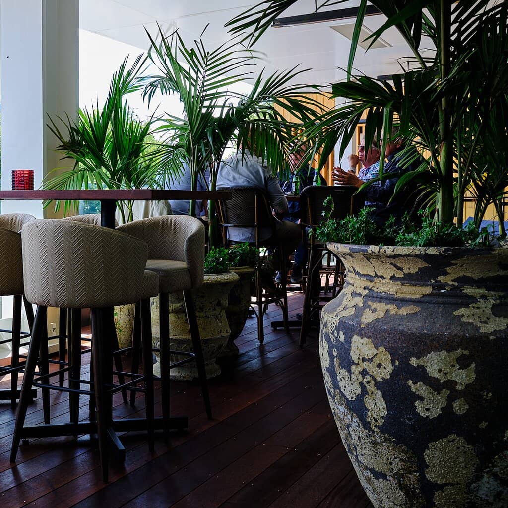 Chic Ambiance & Cocktails