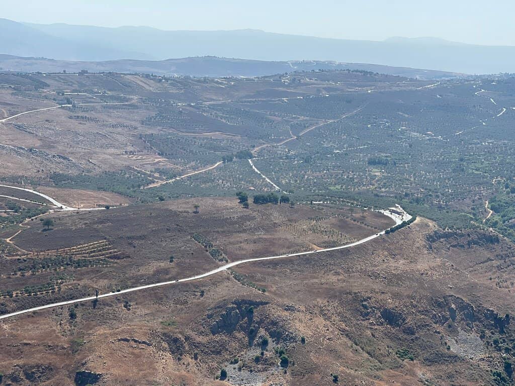 Black Currant Liqueur Tasting