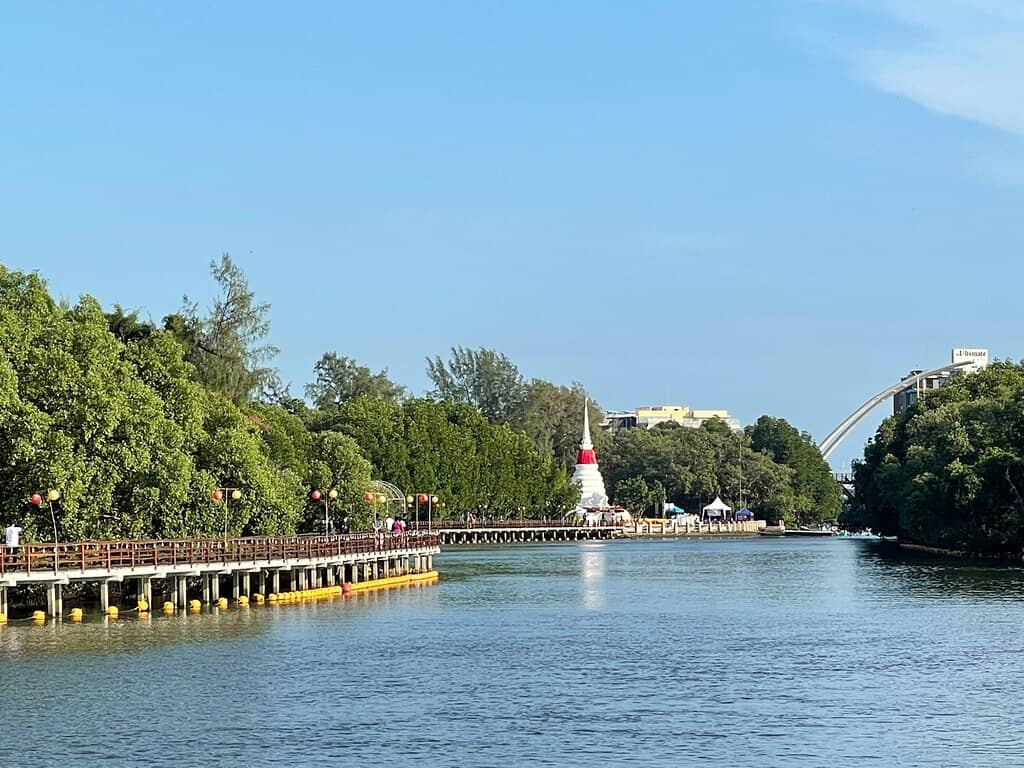 Mangrove Forest Boardwalk