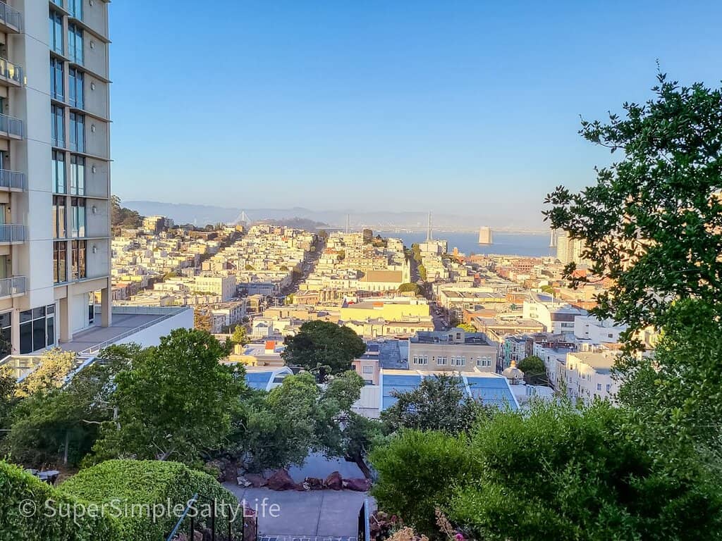 Panoramic City & Bay Views