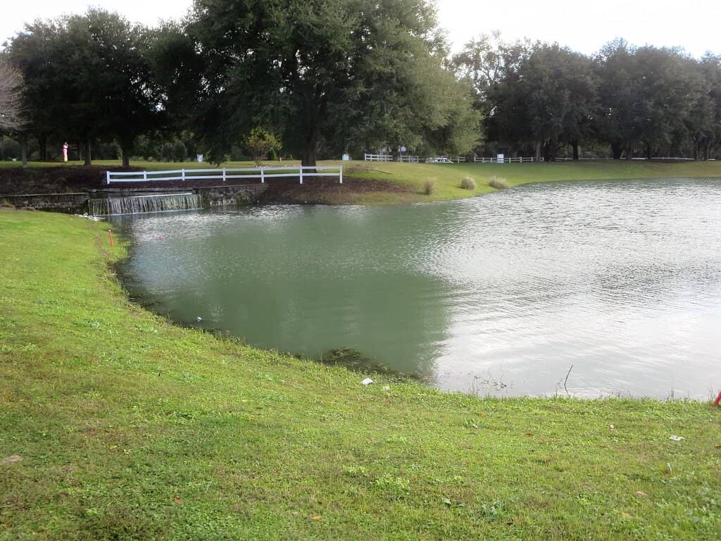 Pumpkin Nights (Seasonal)