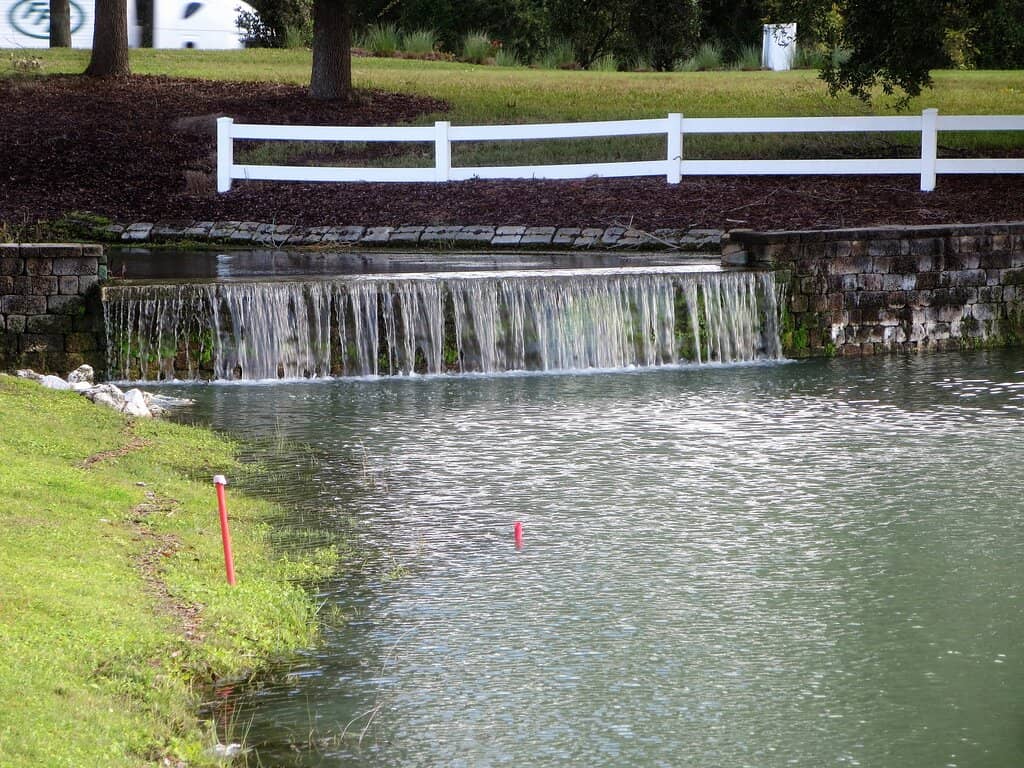 Rose Garden Serenity