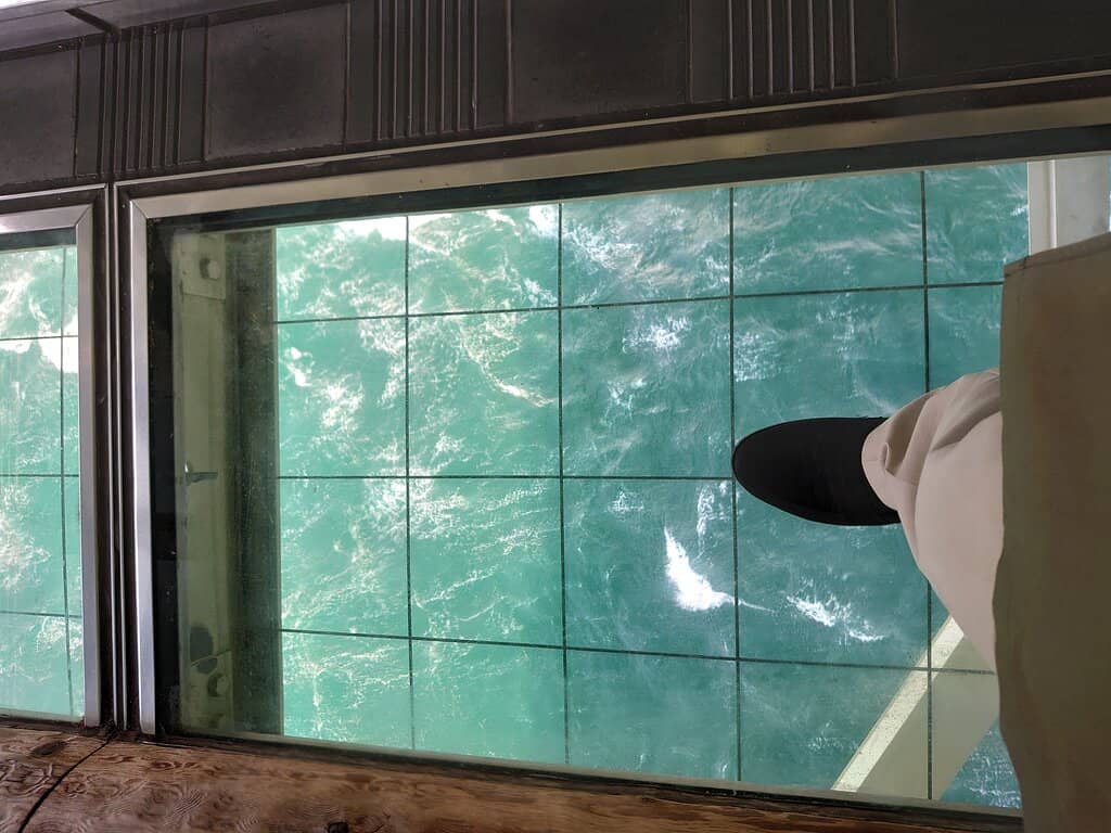 Glass-Bottomed 'Log Bridge'