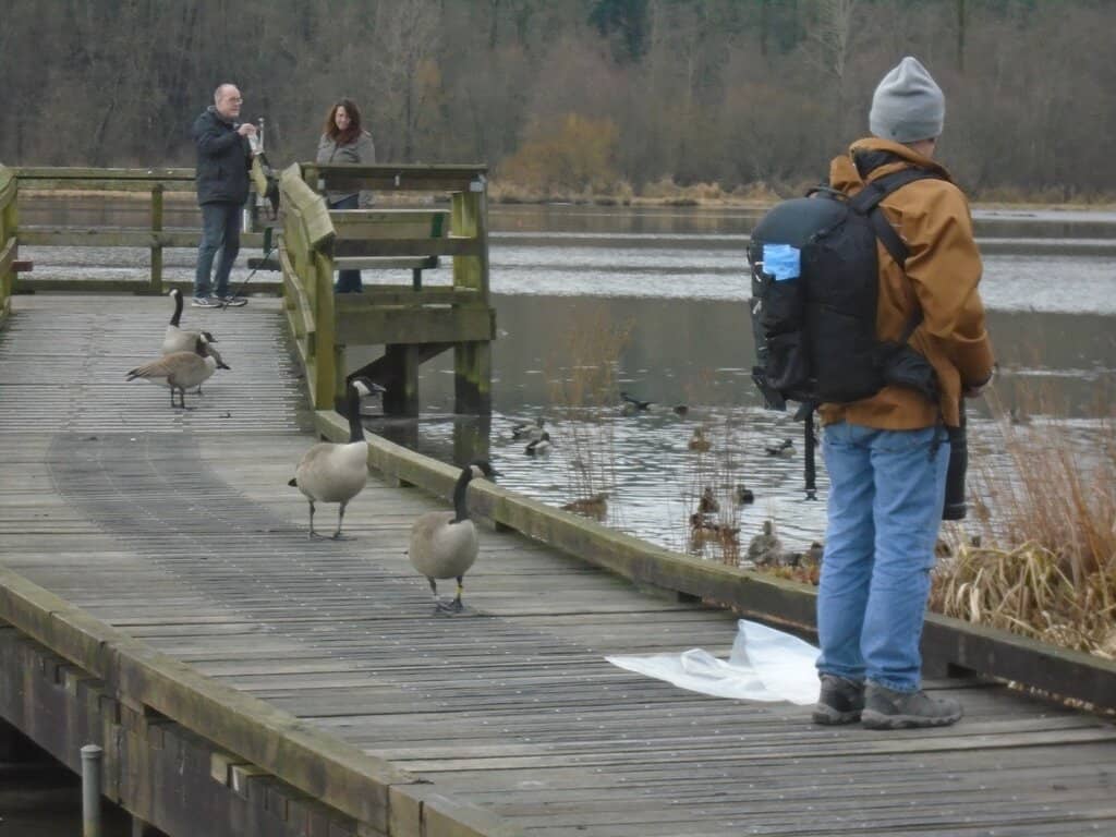 Burnaby Lake Trails