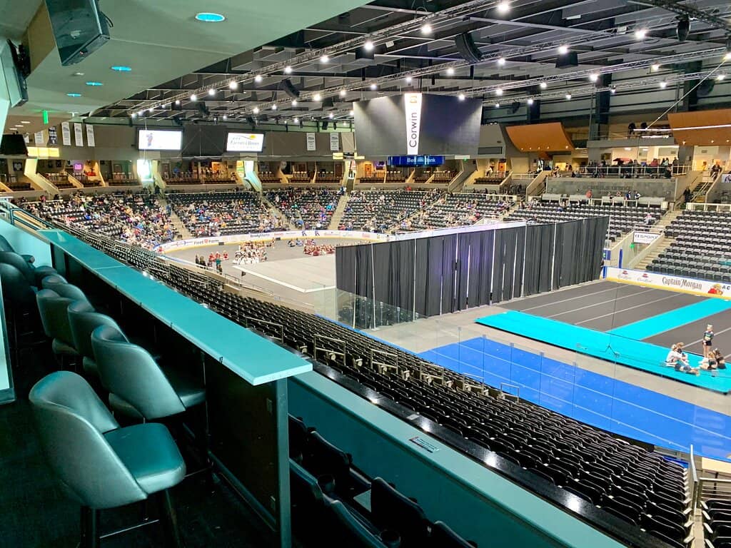 Concerts & Live Performances