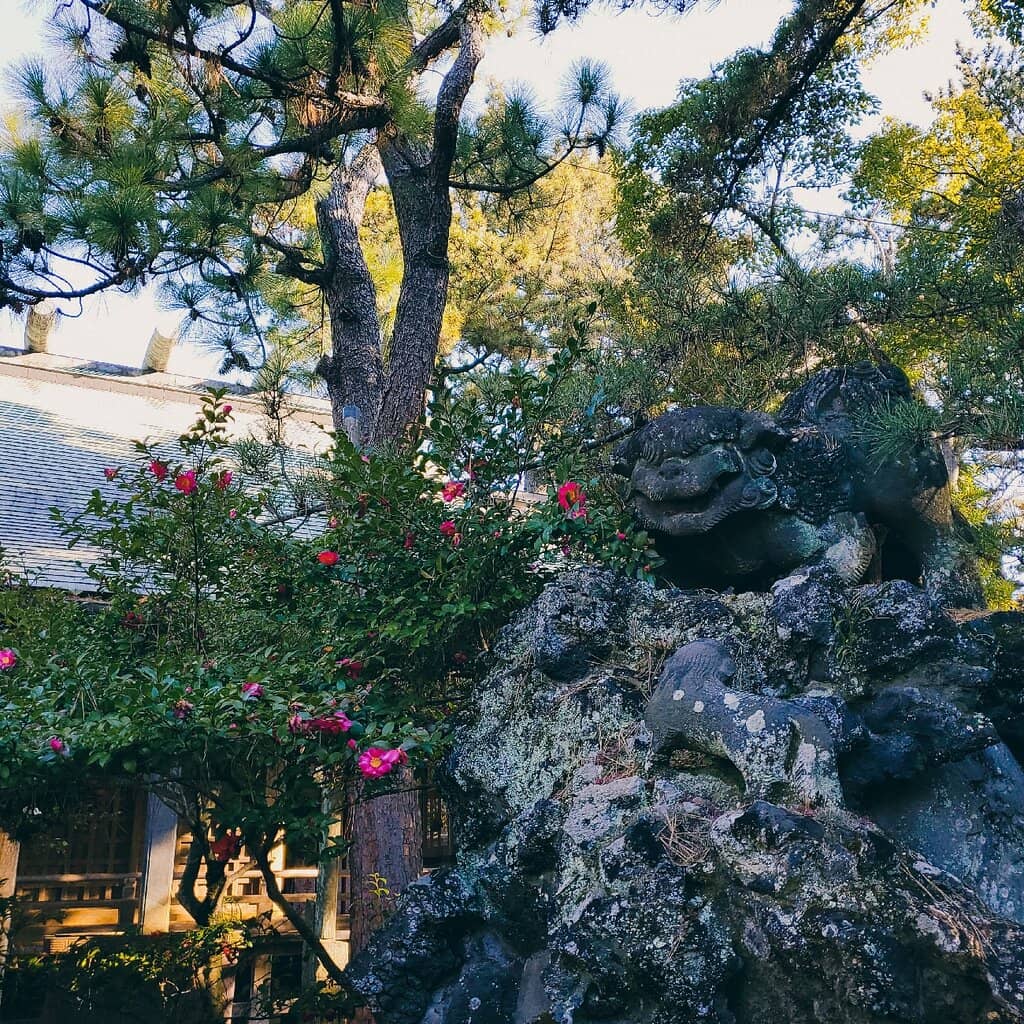 Multi-Purpose Sports Facilities