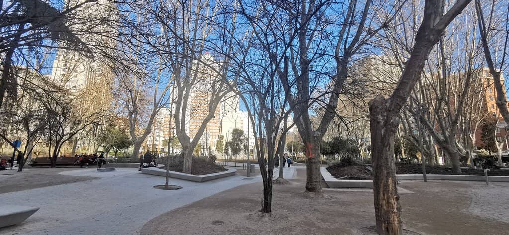 Giant Christmas Tree