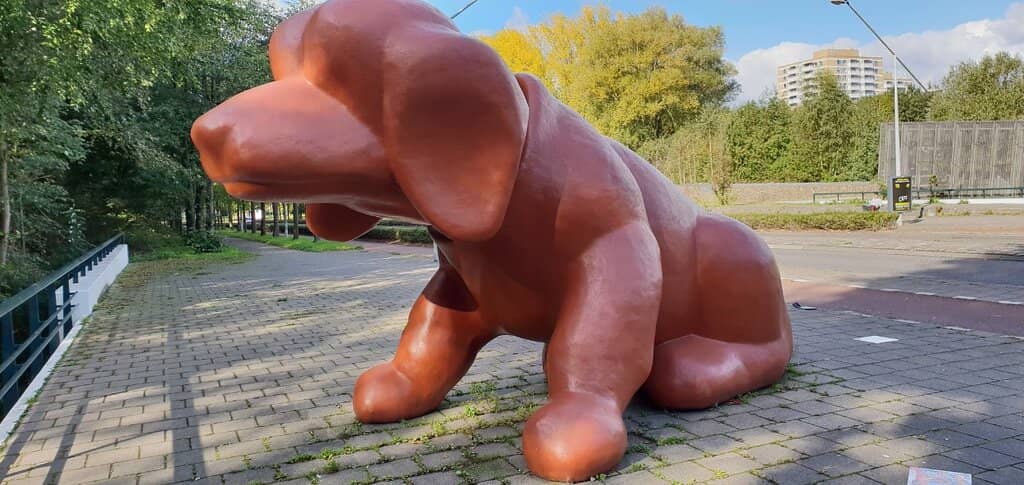 Tranquil Lakes & Pathways