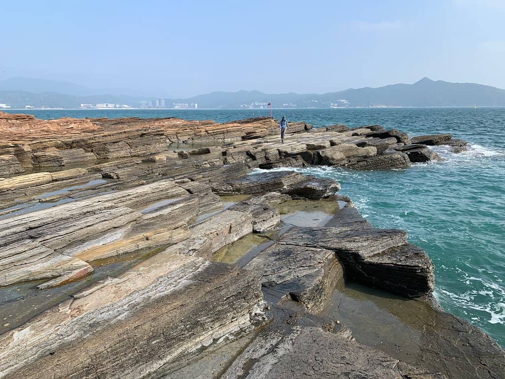 Tidal Pools & Marine Life