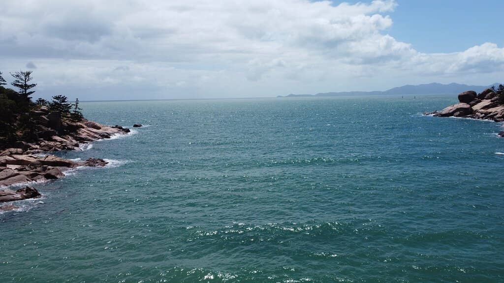 Marine Life Encounters