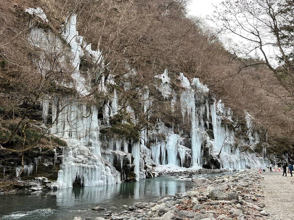 Magical Night Illuminations