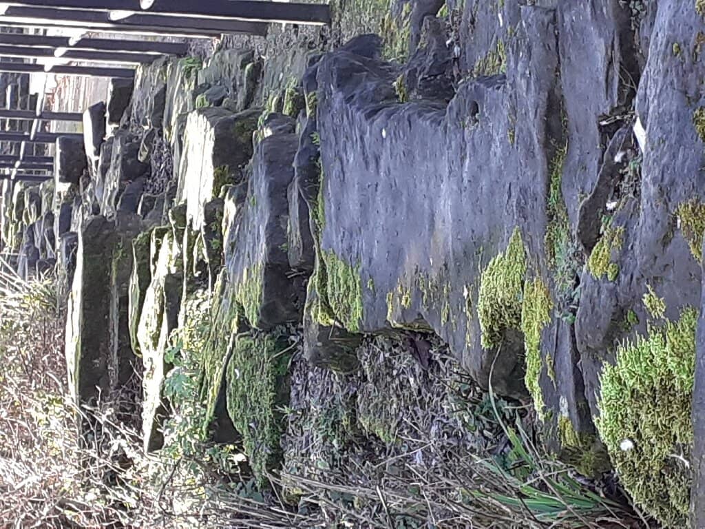 Outdoor Gym & Sports Pitches