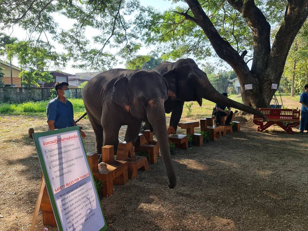 Vintage Collections & Photos