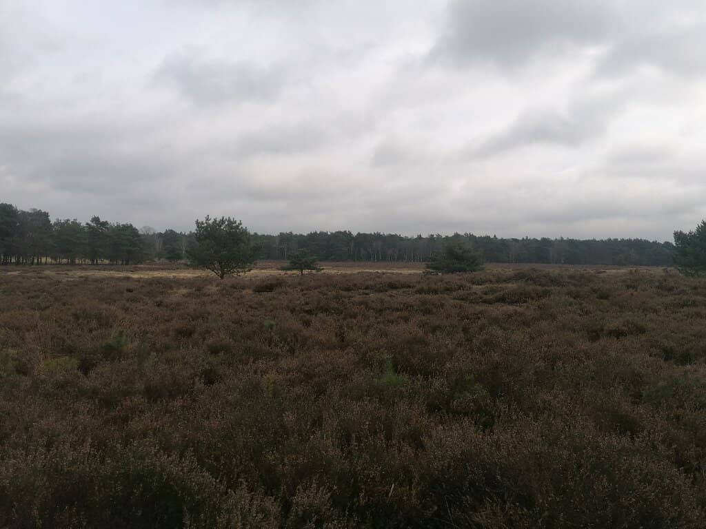 Scenic Hiking & Cycling Trails