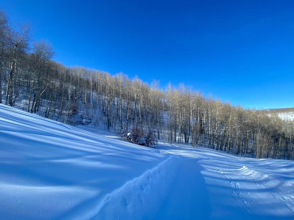 Guided Snowshoe Tours