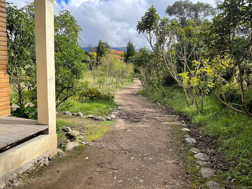 Hiking Trail Around the Lake