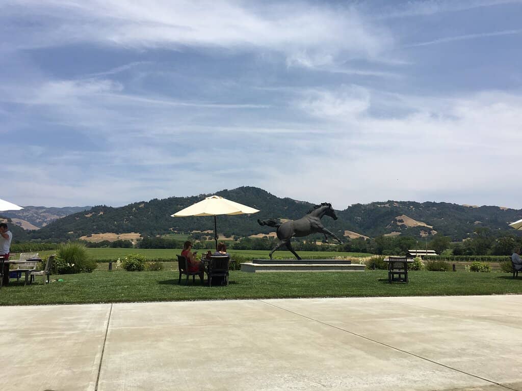 Breathtaking Vineyard Views