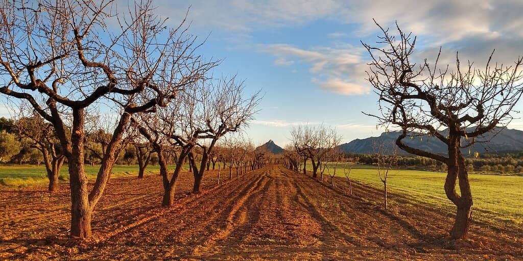 Natural Pools and Streams