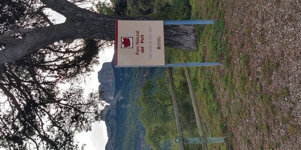 Limestone Crags and Forests