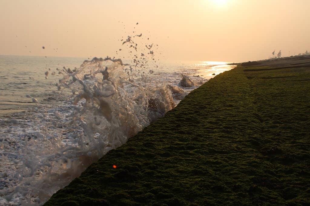 Vast Sandy Seabed at Low Tide