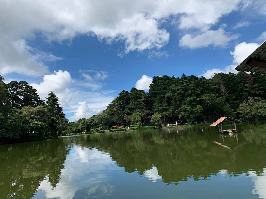 Forest Hiking Trails