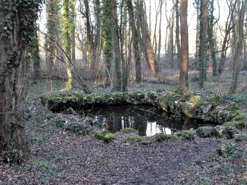 Expansive Green Spaces