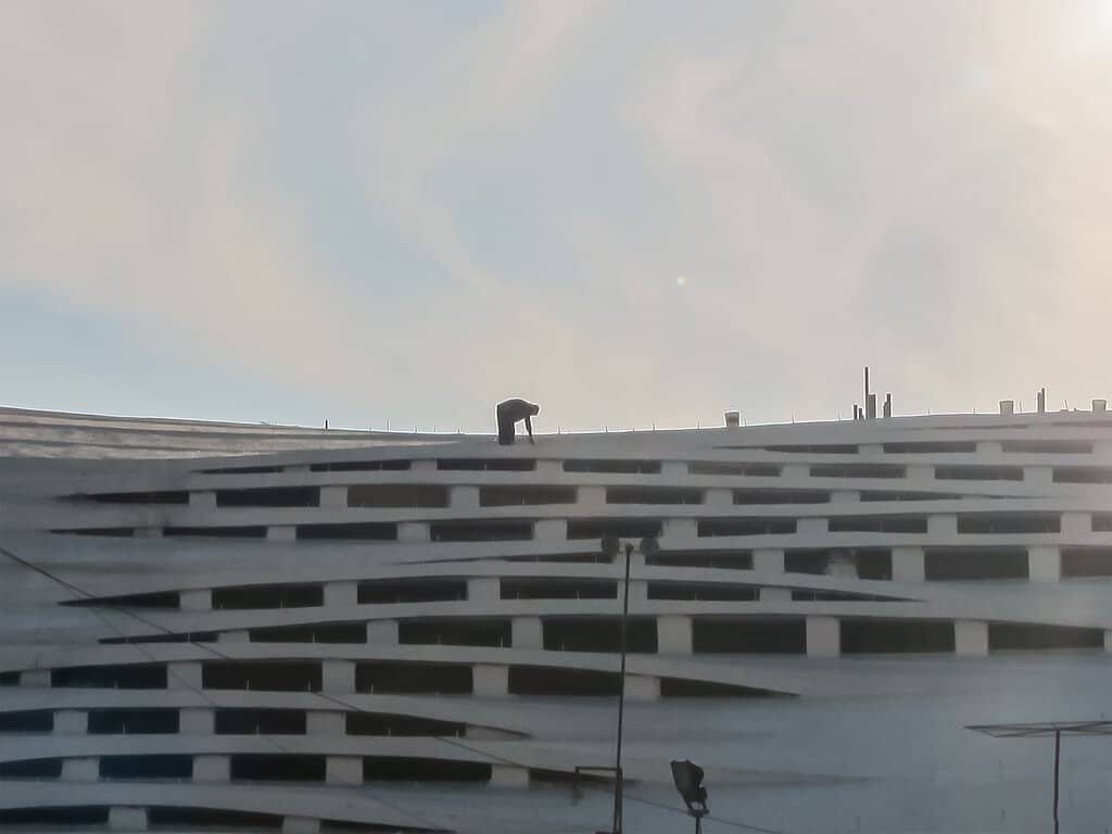 Vertical photo