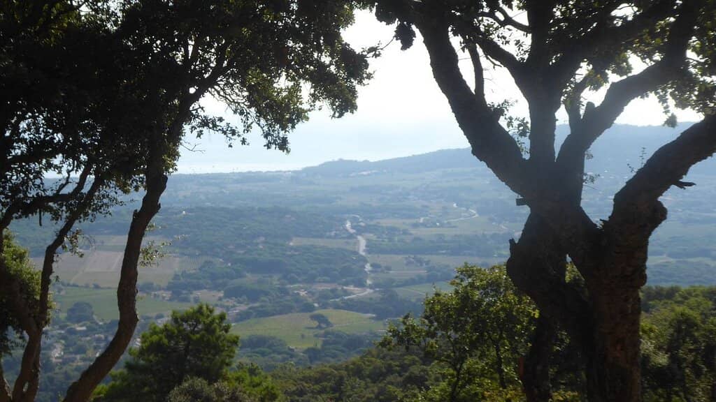 Scenic Cycling Route