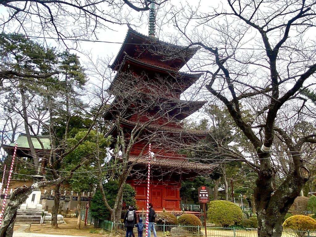 Tranquil Gardens and Architecture