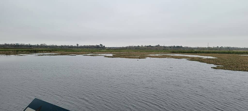 Birdwatching Paradise