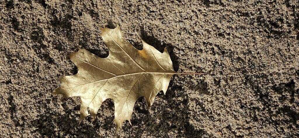 Rotating Art Exhibitions