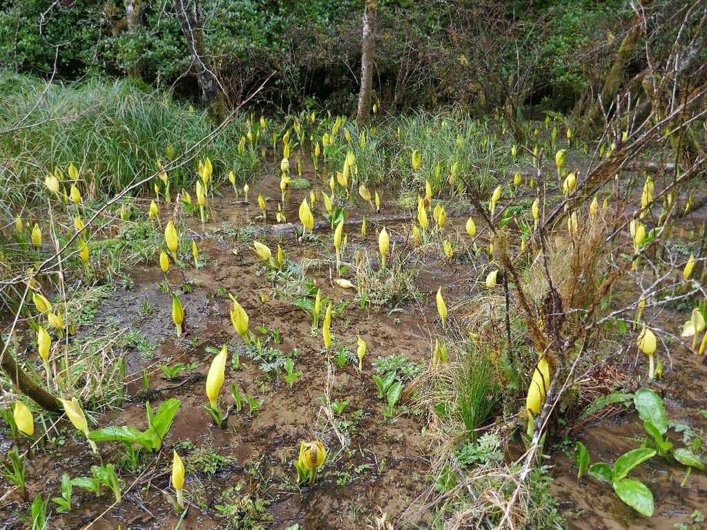 Visitor Center Exhibits