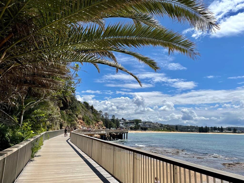 Grey Nurse Shark Sightings