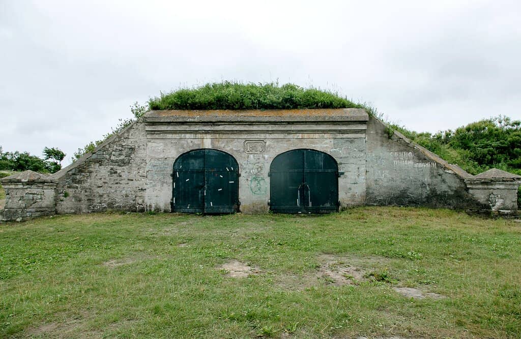 Efim Chesnyakov's Originals