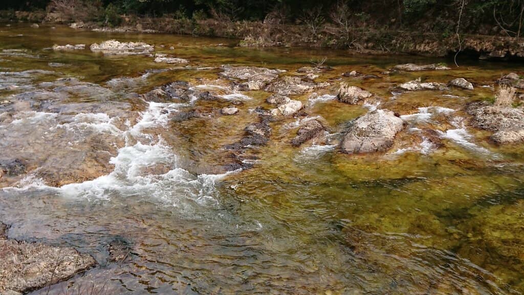 Crystal Clear Waters