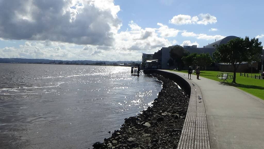 Marine Life Encounters